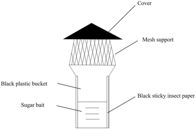 Mouka a hnědý cukr místo drahých insekticidů: funguje to opravdu