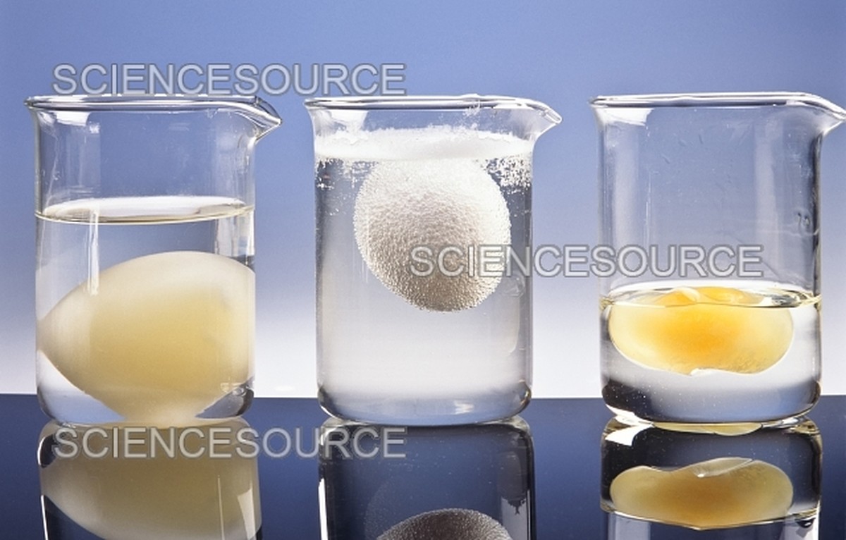 Proč všichni šéfkuchaři přidávají ocet do vody s vejci - image 2