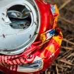 Sodovka jako odpuzovač hmyzu: Trik, který funguje snad lépe než insekticidem