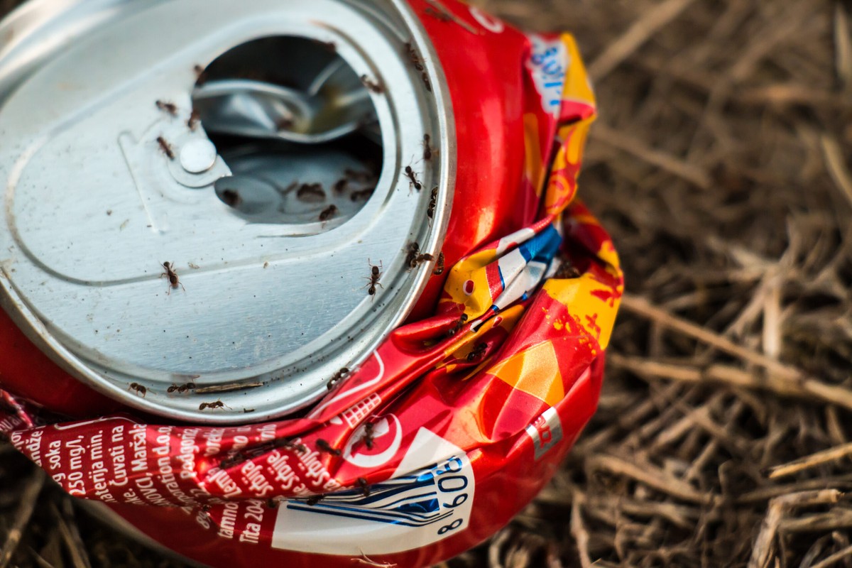 Sodovka jako odpuzovač hmyzu: Trik, který funguje snad lépe než insekticidem