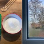 Sodovka ve vatě za dveřmi: levný způsob, jak pohlcovat vlhkost