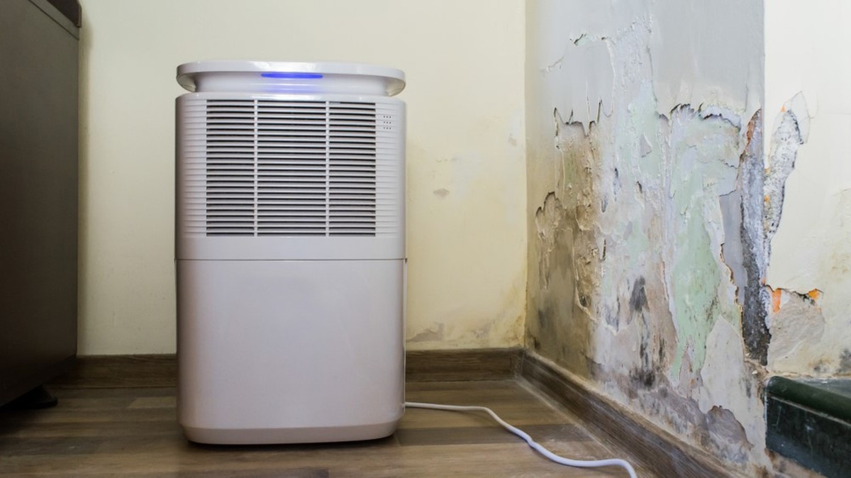 Vlhkost v bytě? Dejte si na parapet obyčejný krabicový kváskový chlebek - image 2