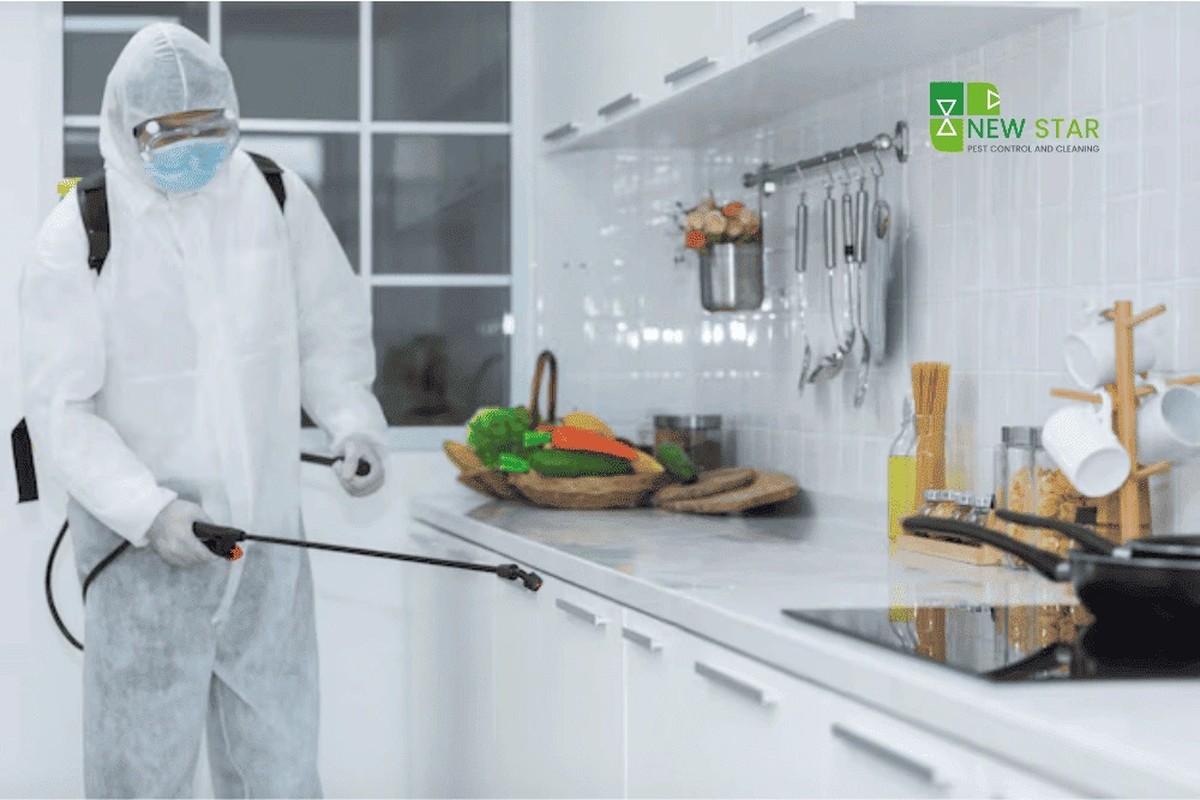 Bobkový list do mouky: starý trik, který odvrací hmyz - image 2