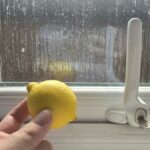 Citronová kůra na okně: trik proti pavouků, který funguje lépe než spreje