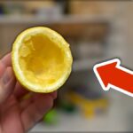 Citronová kůra v ledničce pohlcuje zápachy líp než příslušenství za 300 korun