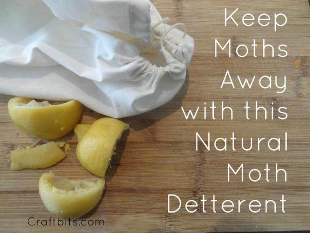 Citrónová kůra v suchém zrní: starobylý trik proti molům