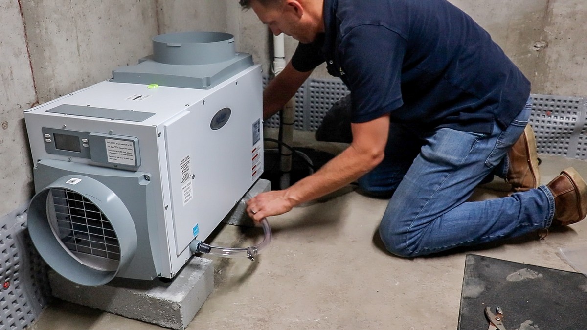 Jak se zbavit plísně pomocí obyčejného odstranění vlhkosti - image 2