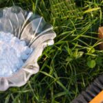 Jedlá soda na trávník: Jak se zbavit mechu bez chemie