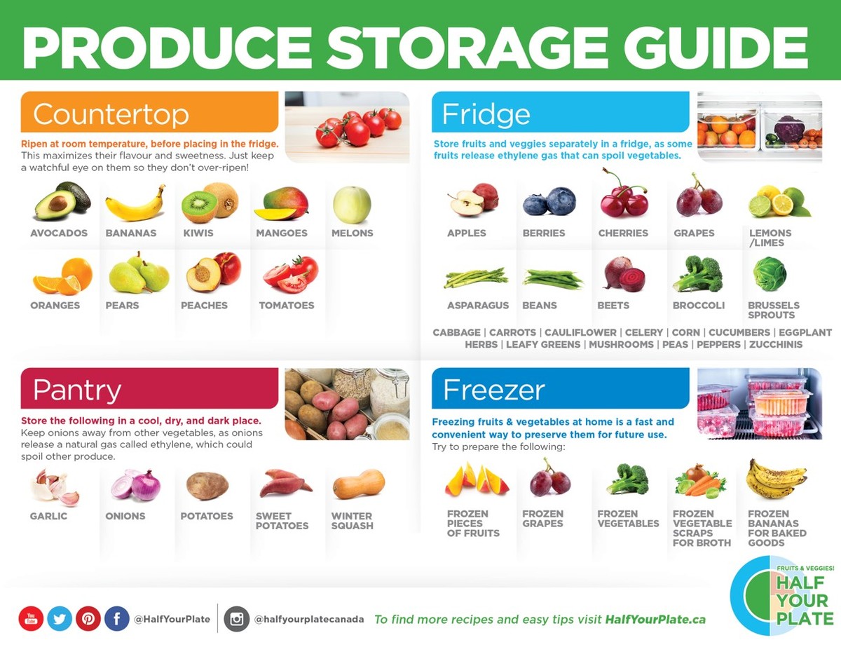 Papírový ručník v lednici prodlouží čerstvost potravin o týden - image 2