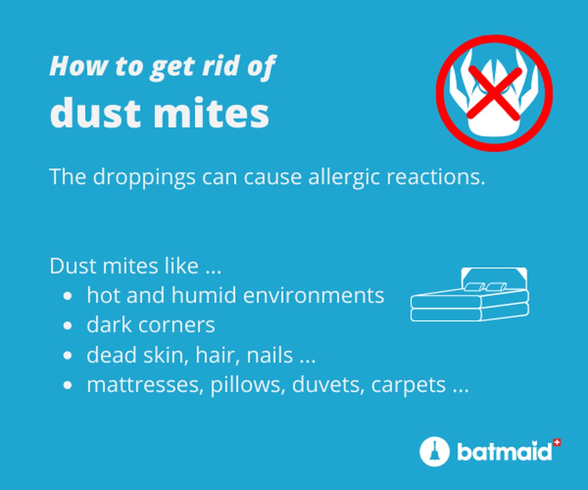 Plastová lahev jako záchranář vaší postele: jak se zbavit roztoče - image 2