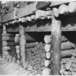 Starý kabát v kořenové bedně? Rodiny to dělaly 50 let bez problémů